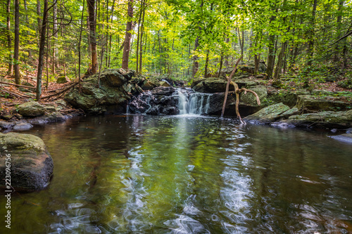 Apshawa Falls in a suburban nature preserve in NJ is surrounded by lush green forest on a summer afternoon