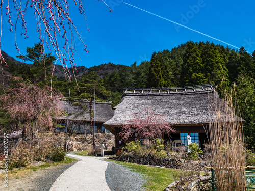 Saiko Iyashino-Sato Nenba ancient japanese village photo