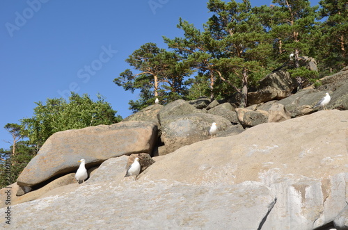 Lake Shore Chebache, State National Natural Park 