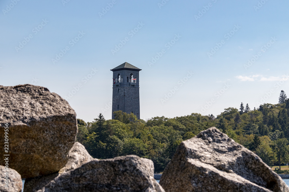 tower over the trees with rocks in foreground