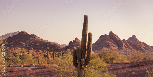 Camelback Mountain seen from Papago Park Phoenix Arizona photo