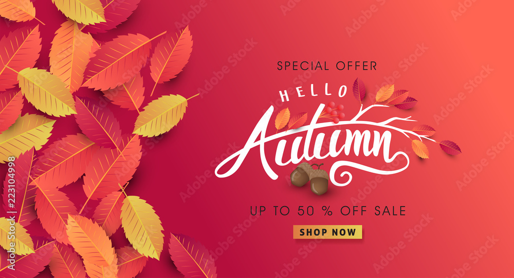 Autumn sale background layout decorate with leaves of autumn for shopping sale or promo poster and frame leaflet or web banner.Vector illustration template. - obrazy, fototapety, plakaty 