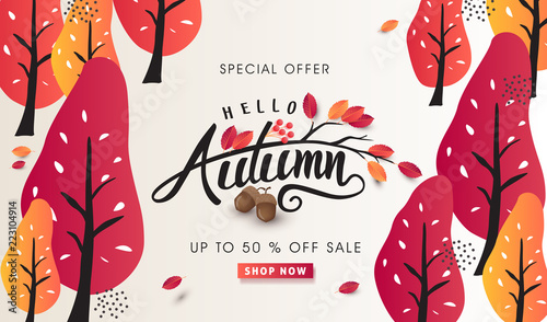 Autumn sale background layout decorate with leaves of autumn for shopping sale or promo poster and frame leaflet or web banner.Vector illustration template.