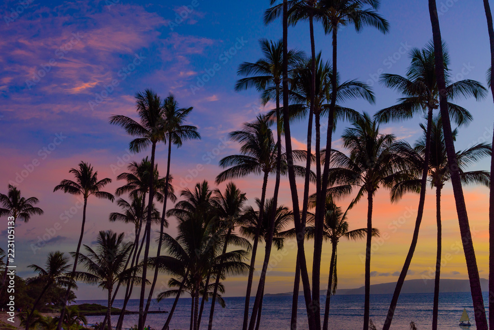 coulorful sunset with palm trees silhouettes
