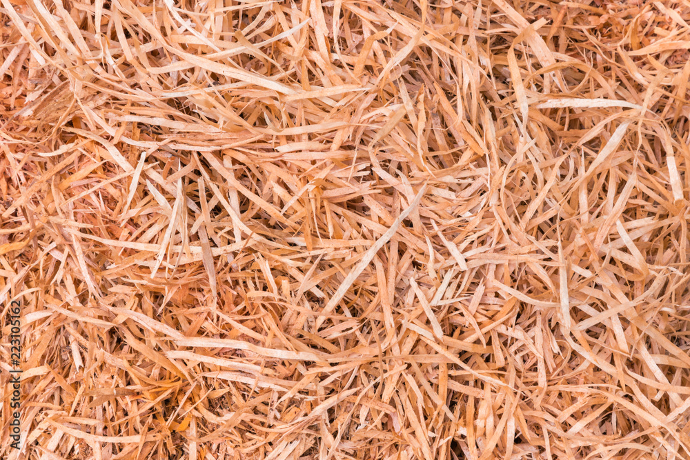 closeup of thin wooden shavings background 