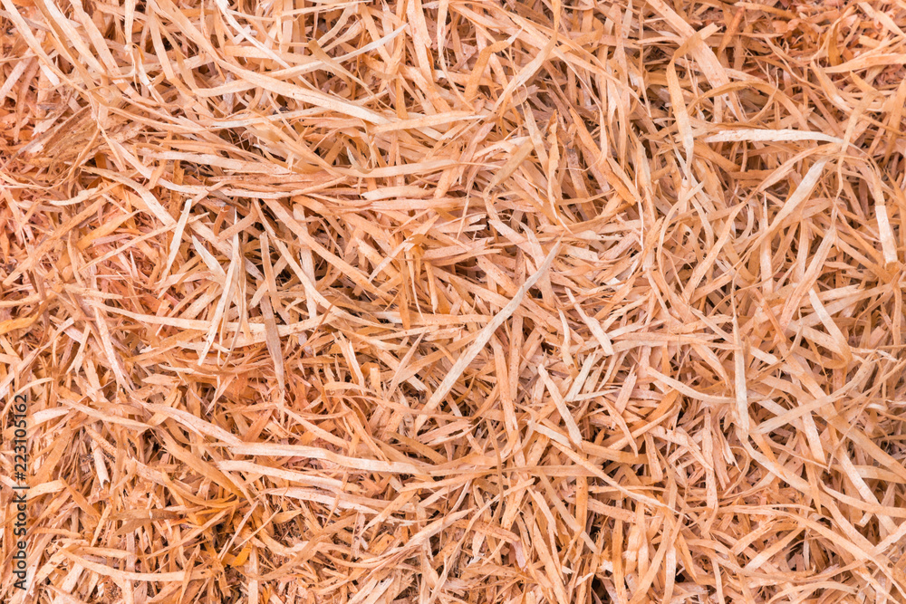 closeup of thin wooden shavings background closeup of thin wooden shavings background