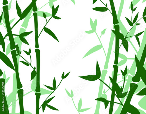 light and dark Green bamboo background with space for text. Vector illustration © Aleksandra