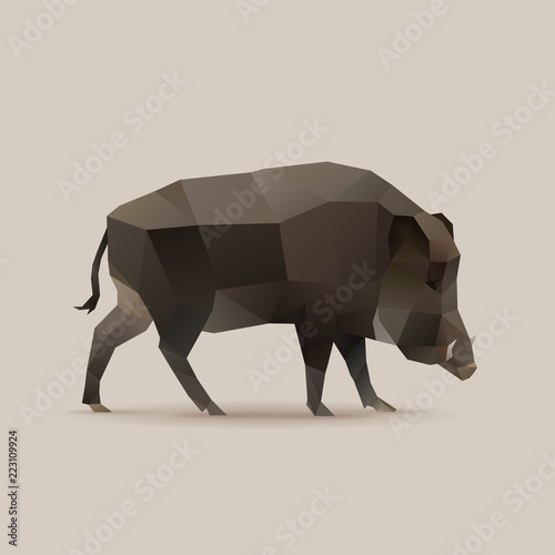 Fotografia Wild boar, polygonal vector illustration