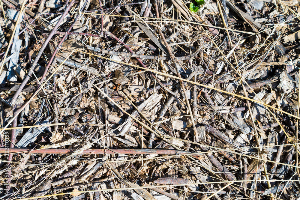 Wooden background, large chips and sawdust. View from above Wooden background, large chips and sawdust. View from above