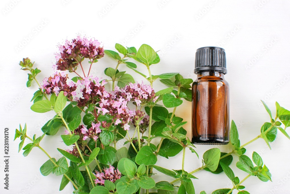 Brown bottle with thyme essential oil, bunch of fresh thyme herbs on white background, top view, flat lay. Brown bottle with thyme essential oil, bunch of fresh thyme herbs on white background, top view, flat lay.