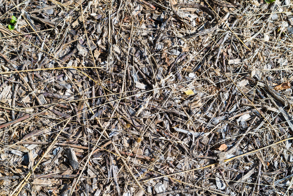 Wooden background, large chips and sawdust. View from above Wooden background, large chips and sawdust. View from above