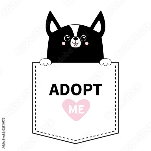 Adopt me. Black chihuahua dog in the pocket. Holding paws. Pink heart. Cute cartoon animals. Puppy pooch character. Dash line. Pet animal collection. T-shirt design. Baby background. Flat design