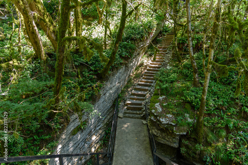 Staircase in rocky rainforest valley