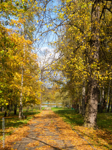 path in an autumn park