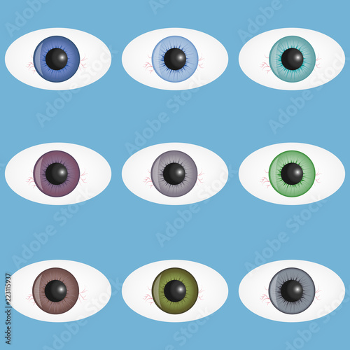 Human eyes, a set of realistic human eyes with pupils. Eyes of a person with capillary vessels. Flat design, vector illustration, vector.