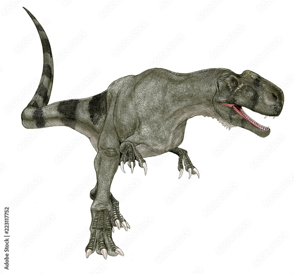 モノルフォサウルス(単冠のトカゲ）ジュラ紀中期の獣脚類。中国、新疆