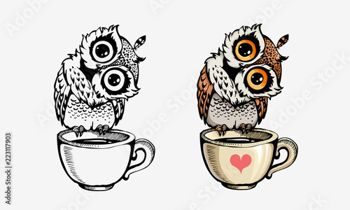 Cute owls collection coloring and line isolated on white