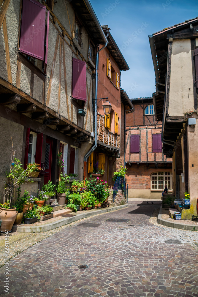Albi, Tarn, Occitanie, France.