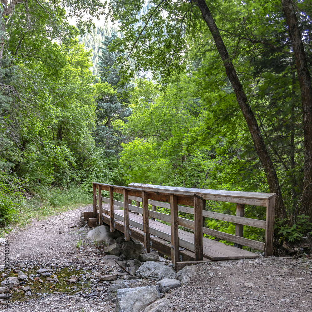 Wooden bridge on top of rocky stream with foliage Wooden bridge on top of rocky stream with foliage