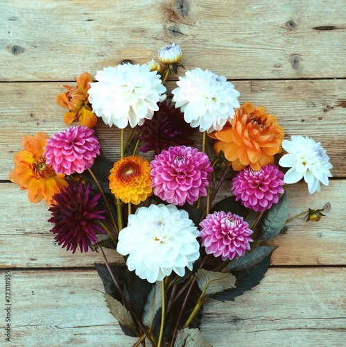 Fototapeta Naklejka Na Ścianę i Meble -  Grußkarte - Dahlien Blumenstrauß - Herbst 