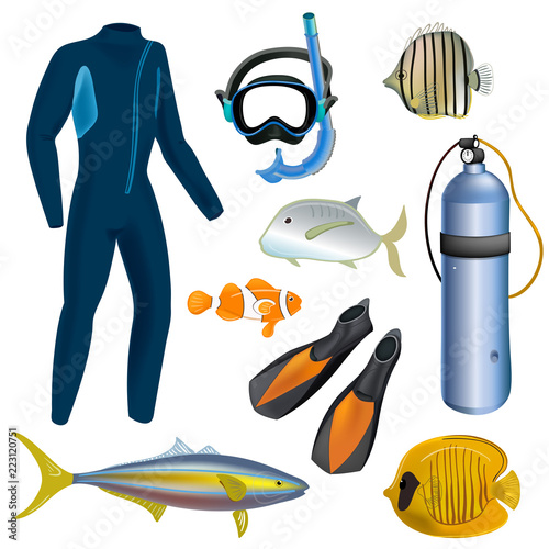 Realistic snorkeling and scuba diving set of elements. Scuba-diving gear isolated. Diver wetsuit, scuba mask, snorkel, fins, regulator dive icons. Fish.