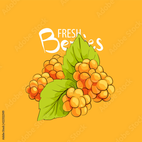 bright sweet cloudberry