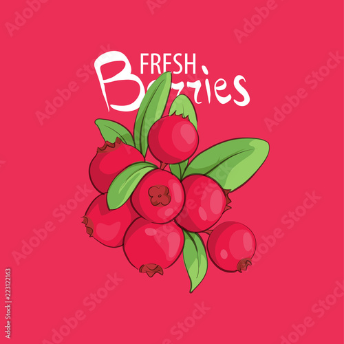 sweet yummy lingonberry