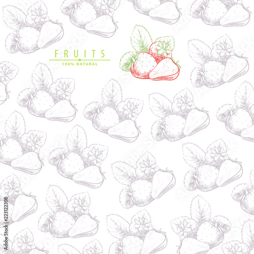 fresh sweet strawberry illustration