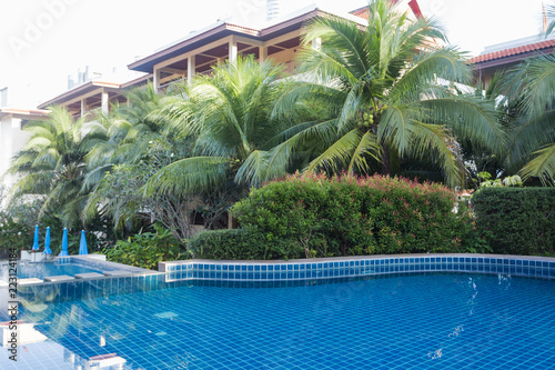 swimming pool - luxury hotel