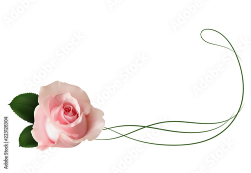 Realistic pink rose, border.