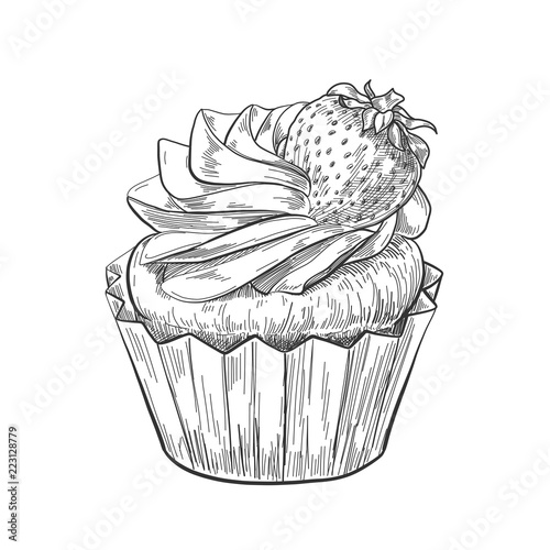 Hand drawn cupcake with strawberry, vintage etching, food sketch engraving, pen and ink line art isolated on white background. Vector illustration.