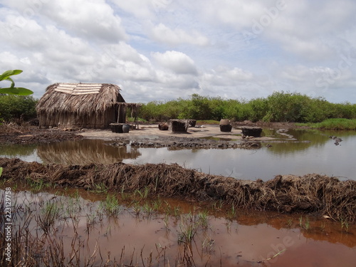 salt marsh ouidah photo