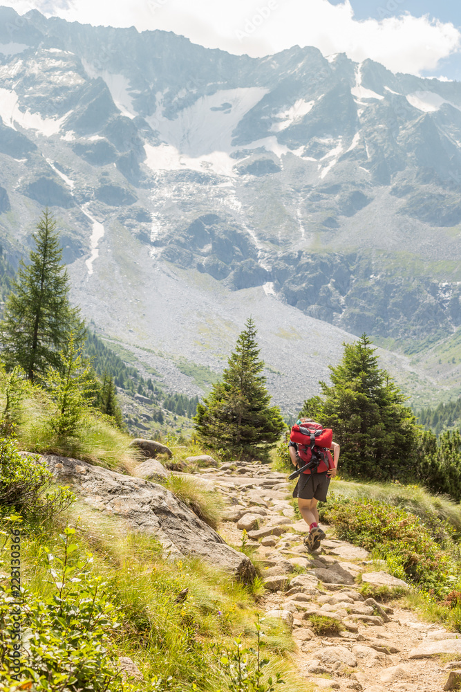 Female trekker walks into a pathway with view on mountains and valley in Ponte di Legno, Italy (Val camonica)