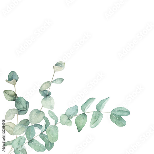 Watercolor floral card with eucalyptus branch. Hand drawn botanical illustration. Art background