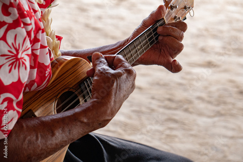 Obraz na plátně old man hands playing hukulele in french polynesia