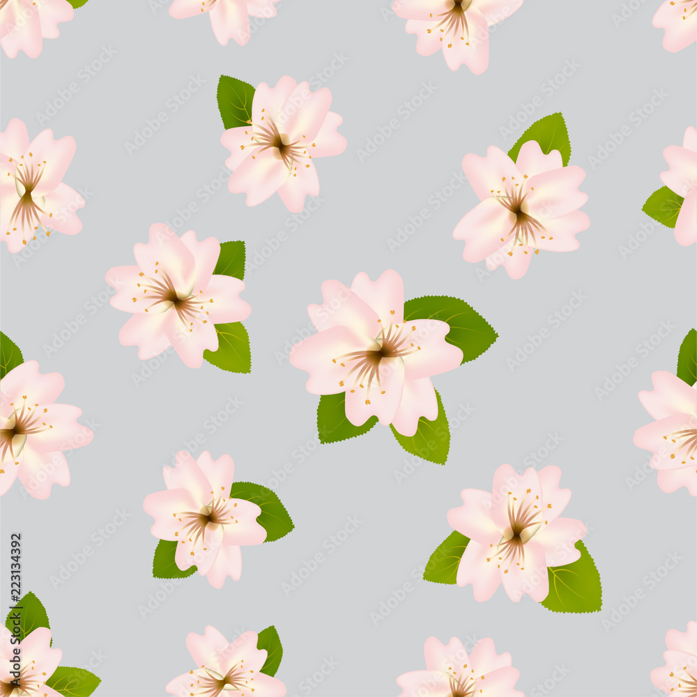 Spring cherry blossoms. Seamless pattern with Japanese sakura. Pink flowers on gray background. Romantic. Vector illustration.on.