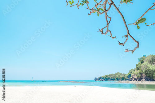 Fototapeta Naklejka Na Ścianę i Meble -  Beautiful white sand beach and tree with  island in summer time concept travel, holiday and vacation. Tropical paradise beach nature landscape in Thailand