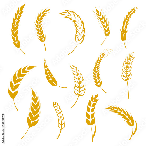 Fototapet Set of simple wheats ears icons and grain design elements for beer, organic wheats local farm fresh food, bakery themed wheat design, grain, beer elements, wheat simple