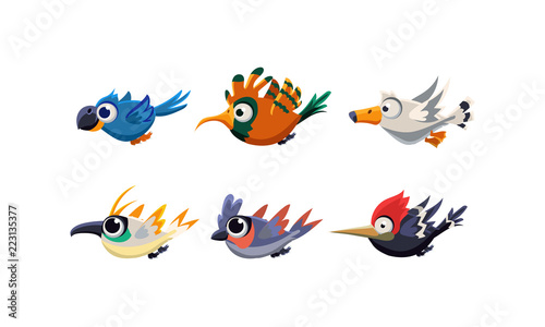 Cute cartoon flying birds set  funny colorful birds vector Illustration on a white background