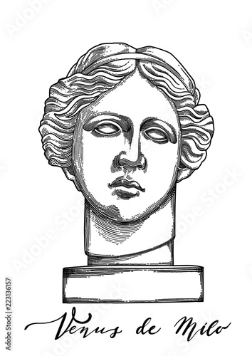 Venus de Milo head sculpture drawn in engraving technique