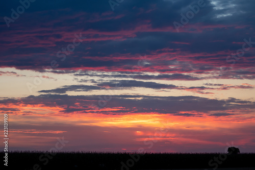 Romantic sunset with black grass silhouette