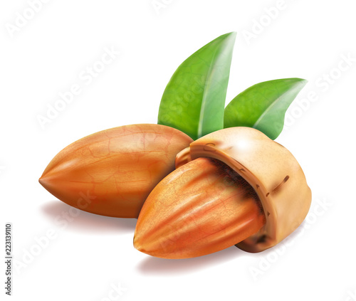 almond.