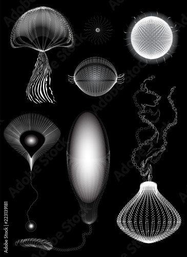 primitive organisms set, jelly, unicellular