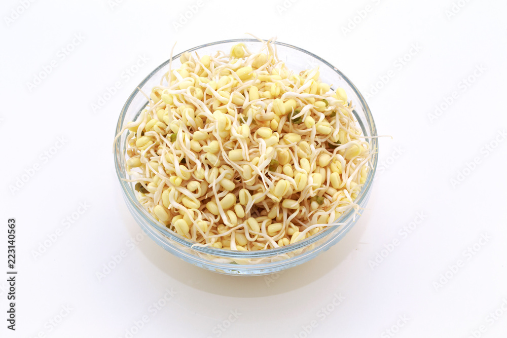 Sprouted beans on a white background. National Asian cuisine, preparation for salad, vegetarianism or raw food. Food background. Sprouted beans on a white background. National Asian cuisine, preparation for salad, vegetarianism or raw food. Food background.