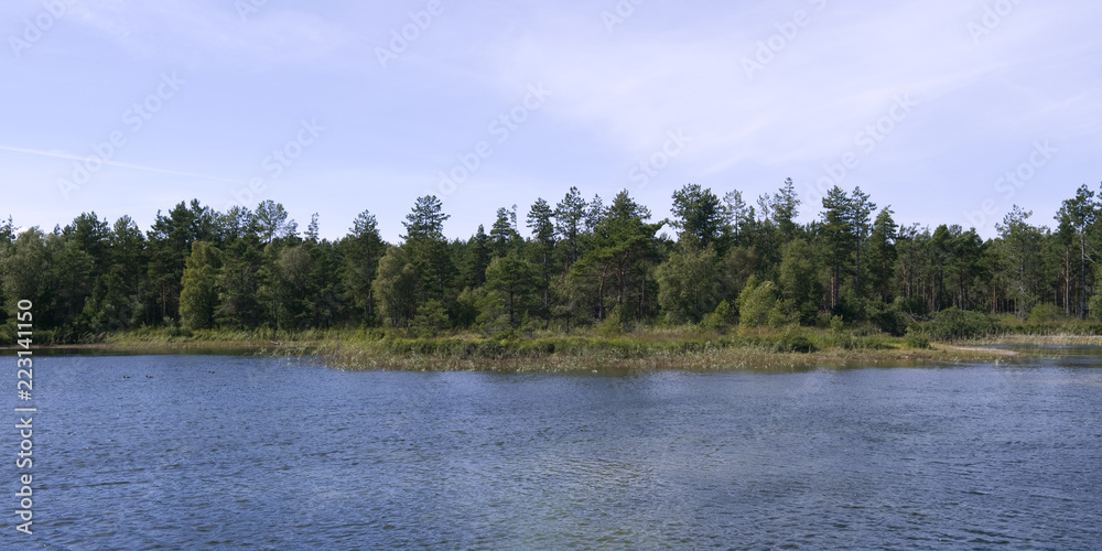 Laesoe / Denmark: Lush vegetation on the bank of the small swimming pond near Byrum