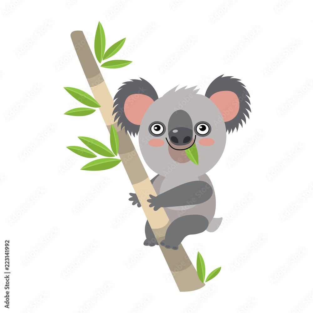 Obraz premium Miś Koala Na Gałęzi Drewna Z Zielonymi Liśćmi. Australijskie zwierzę najzabawniejsza koala siedząca na gałęzi eukaliptusa. Ilustracja wektorowa kreskówka Koala dla dzieci.