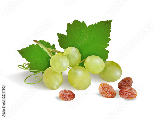 grapes and raisins on a white background. Vector illustration