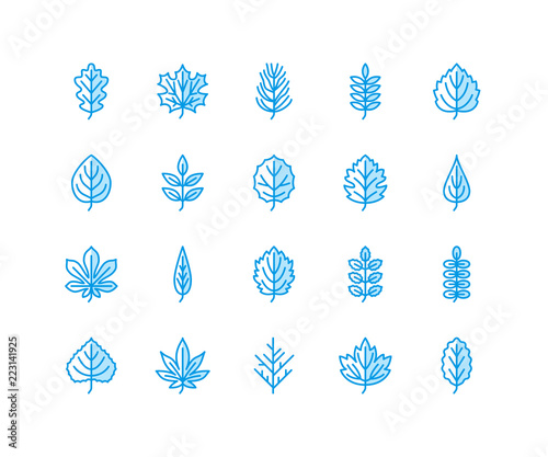 Autumn leaves flat line icons. Leaf types, rowan, birch tree, maple, chestnut, oak, cedar pine, linden,guelder rose Thin signs of nature plants.