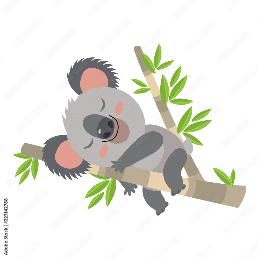 Obraz premium Leniwy Koala Spanie Na Ilustracji Wektorowych Kreskówka Oddział. Zwierzę Australii. Ilustracja wektorowa śpiącej Koali. Baby Bear Koala, Na Białym Tle.