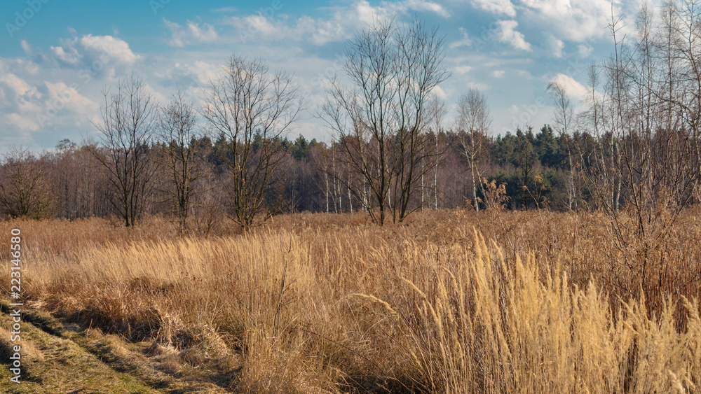 the nature of southern Poland